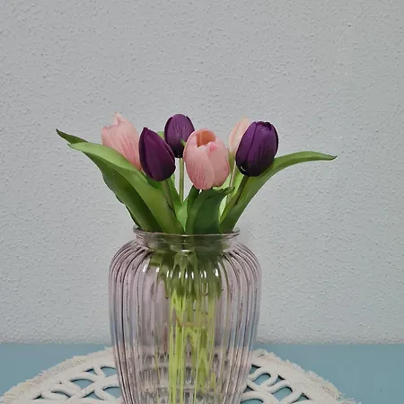 Casa Il Tulipano Никелино